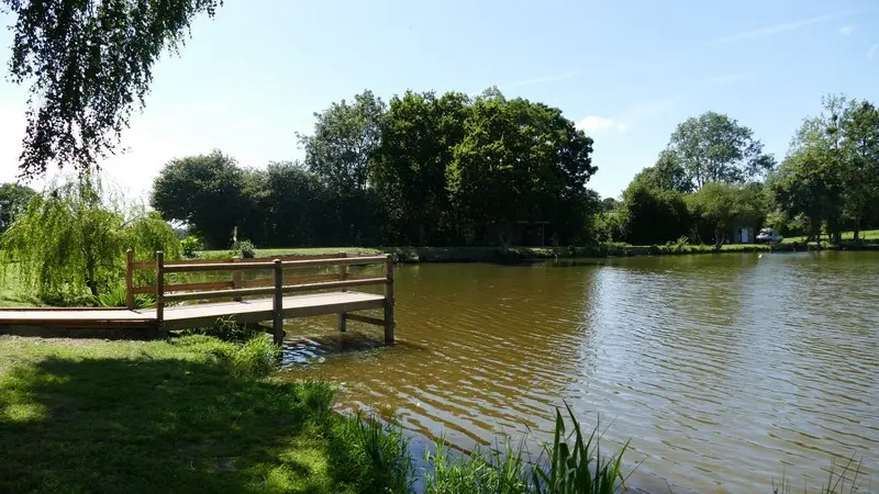 Patrimoine naturel montaigu les bois etangs (7)