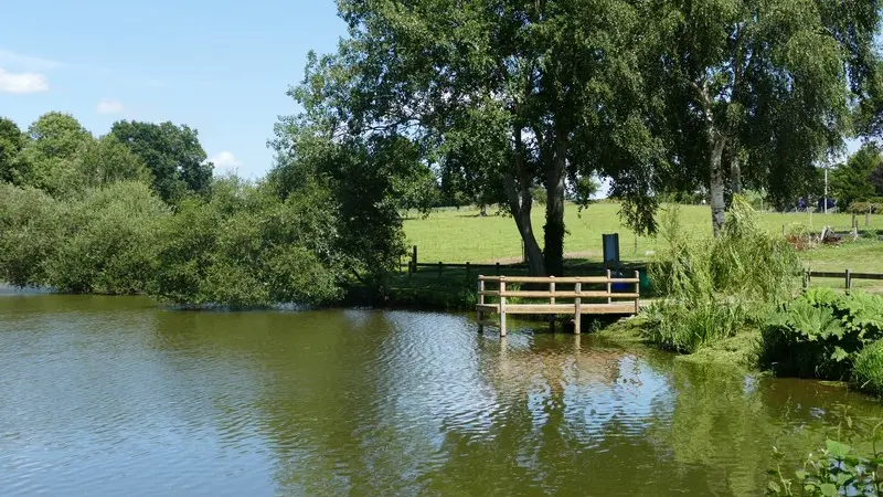 Patrimoine naturel montaigu les bois etangs (8)