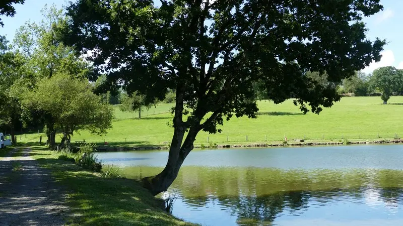 Patrimoine naturel montaigu les bois etangs (9)