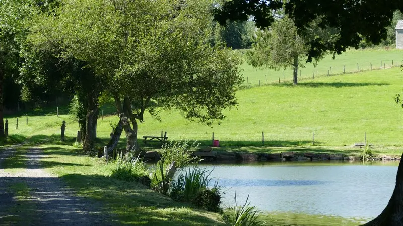 Patrimoine naturel montaigu les bois etangs (1)