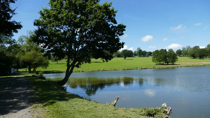 Patrimoine naturel montaigu les bois etangs (10)