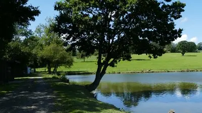 Patrimoine naturel montaigu les bois etangs (11)