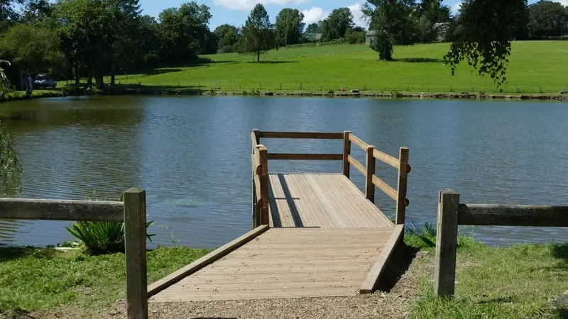 Patrimoine naturel montaigu les bois etangs (2)