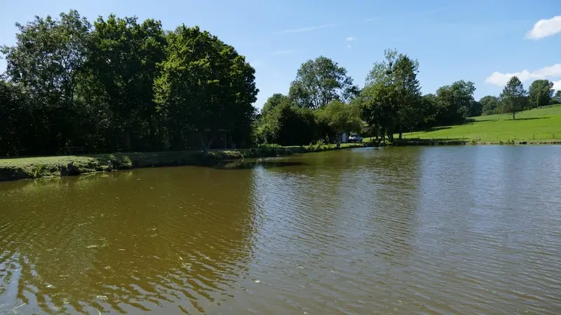 Patrimoine naturel montaigu les bois etangs (3)