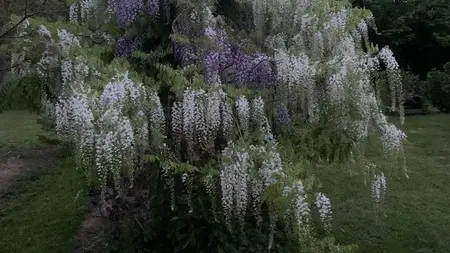 Patrimoine culturel ouville jardin caché (7)