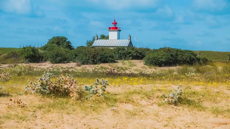 Phare pointe agon coutainville teddy bear photos (2)