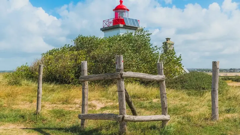 Phare pointe agon coutainville teddy bear photos (3)