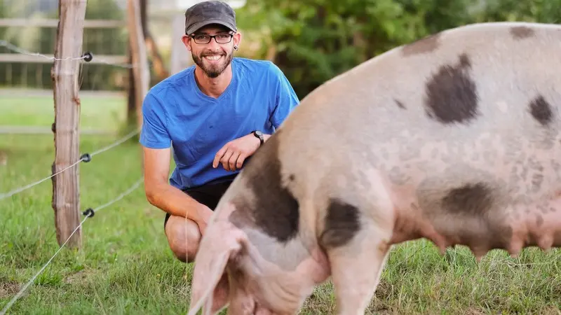 Produits du terroir ver c comme cochon (2)