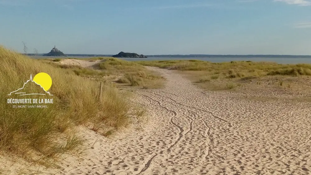 Genets_Decouverte_de_la_Baie4