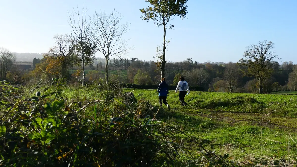 LE-CHEFRESNE-RANDO