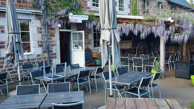 Restaurant - le krill - la baleine (3)