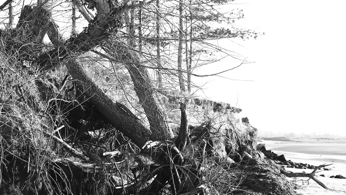 SIMONETAVARES _LE PHE╠üNOME╠ÇNE DU GRAIN DE SABLE_ VANITE╠ü7