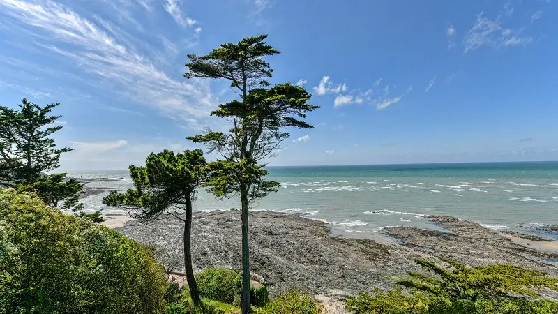 Vue mer 2019_1 BD © Benoit Croisy, coll. ville de Granville