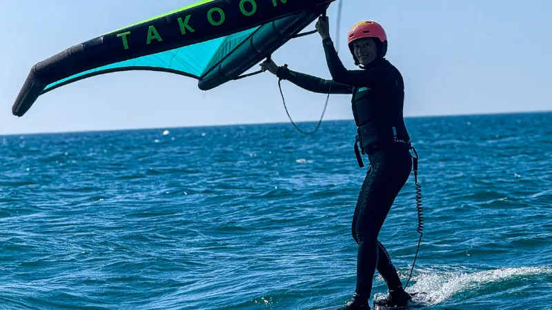 Visuel pour OTI - Tourninsoft - WING 3