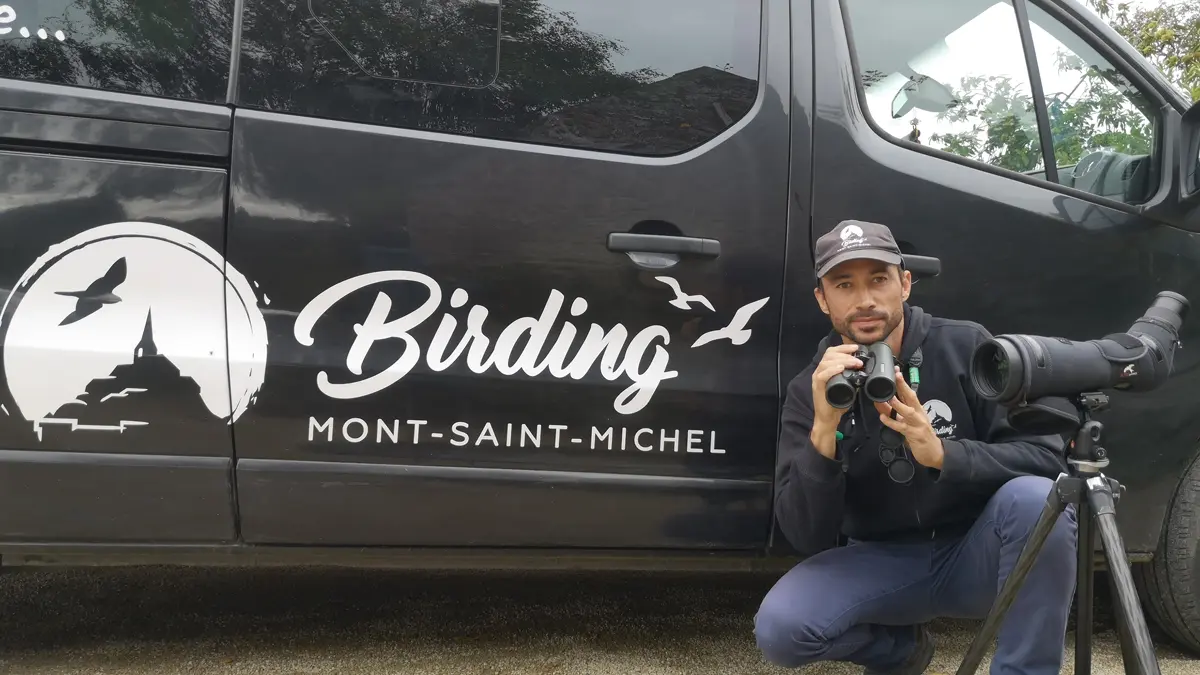 birding-mont-saint-michel-jullouville-1