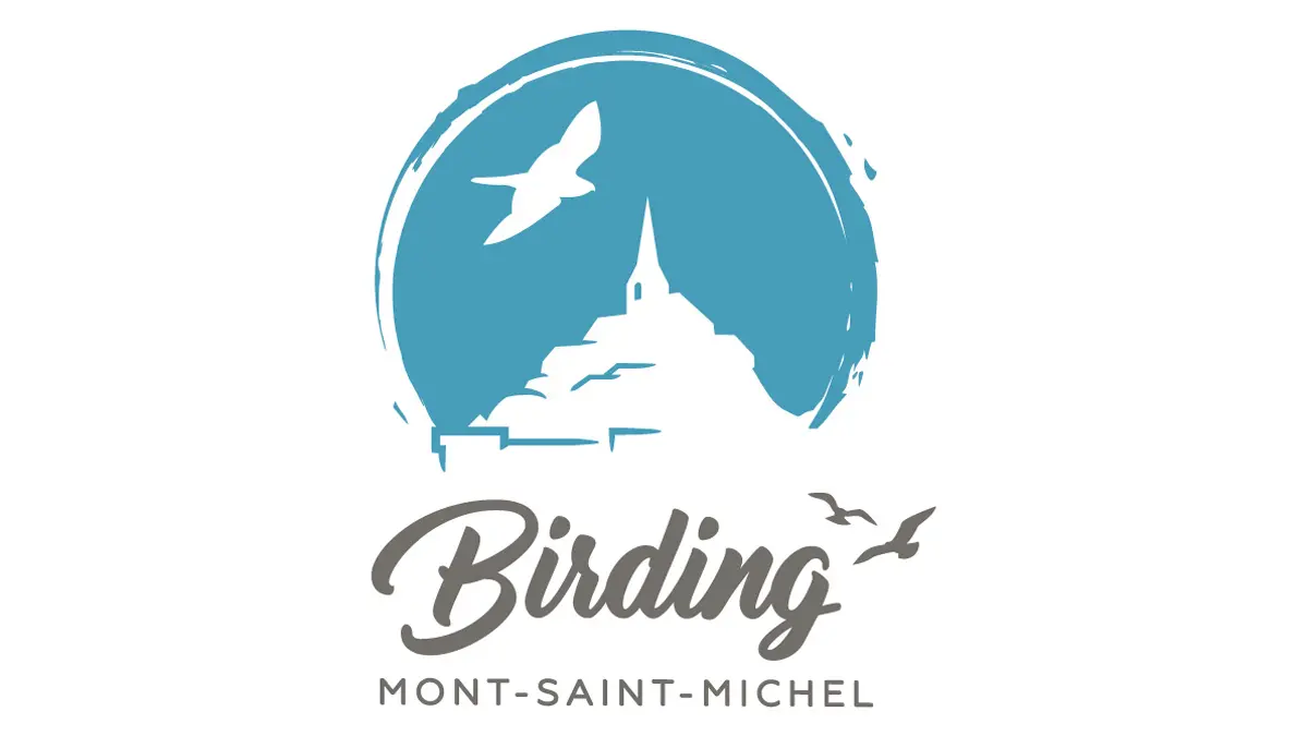birding-mont-saint-michel-jullouville-2