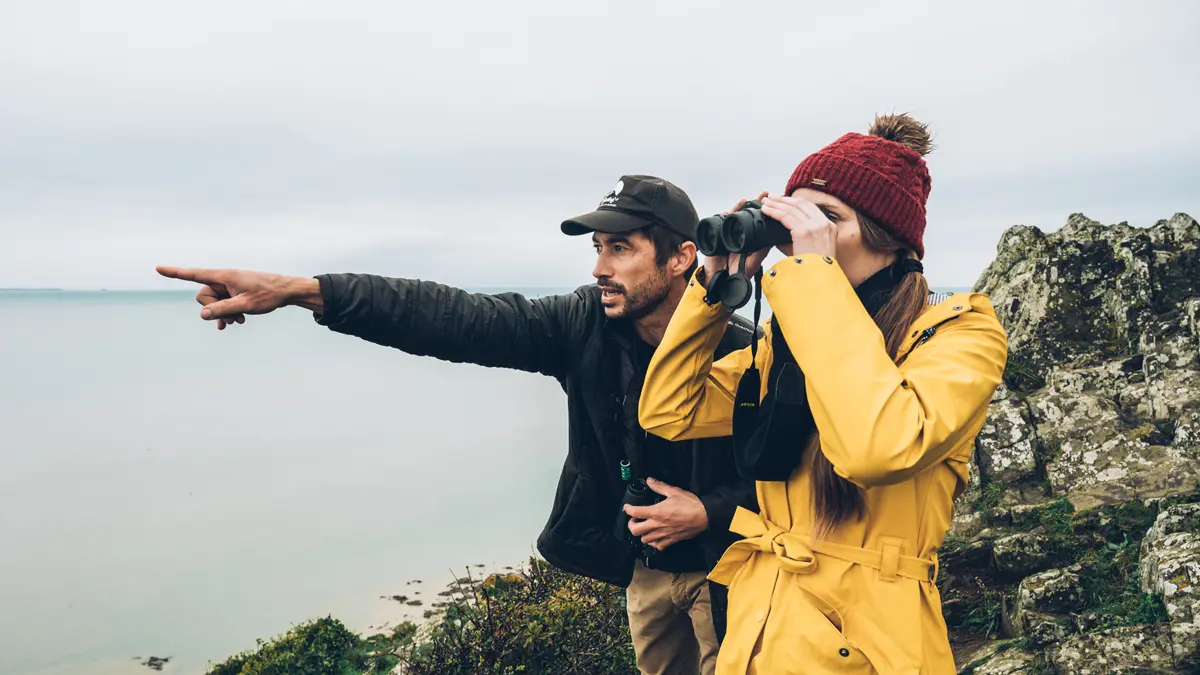 birding-mont-saint-michel-jullouville-3