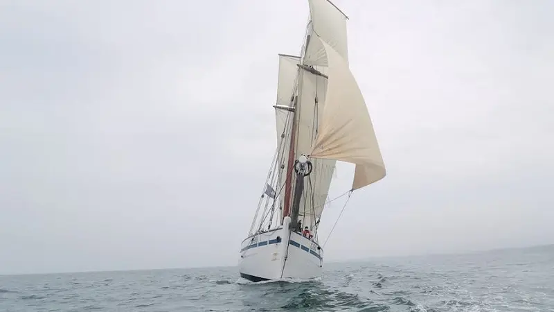 bisquine-voiles