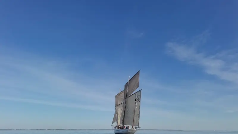 bisquinesurl'eau