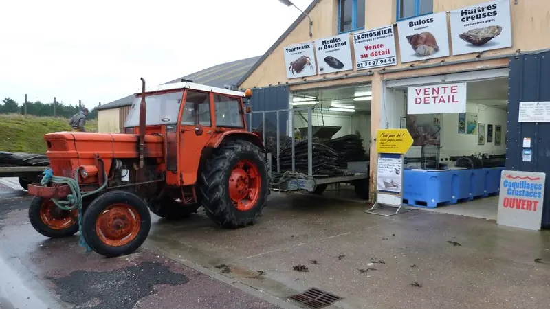 blainville-sur-mer-gaec-lecrosnier (8)