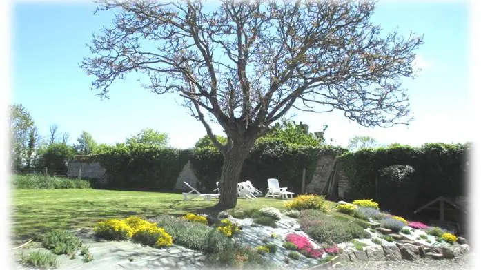 brehal-meuble-clerjeaud-2