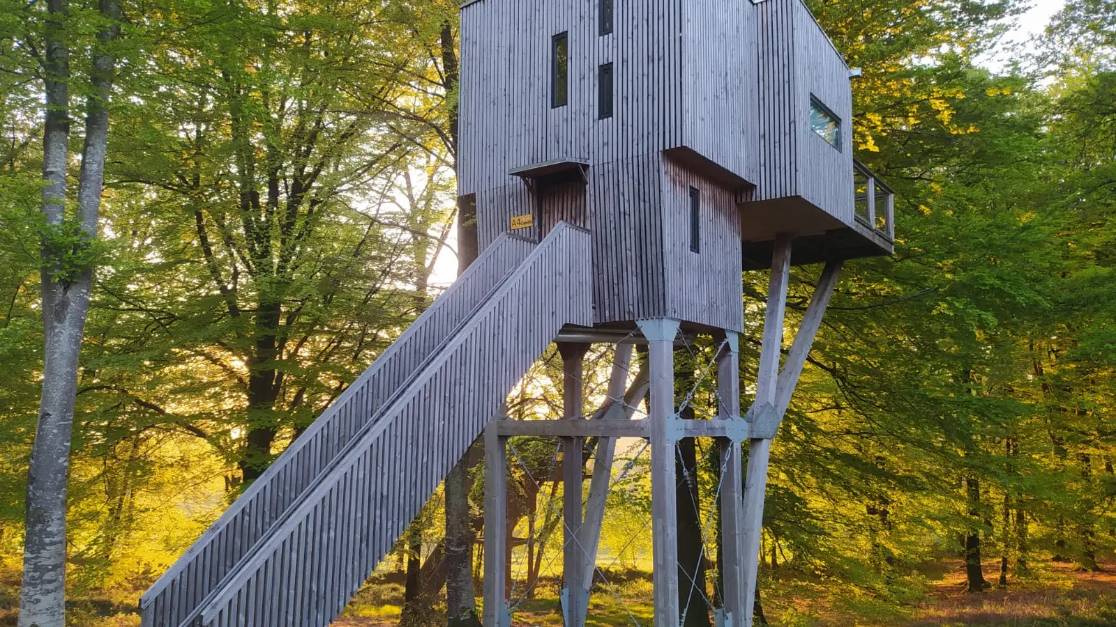 cabane dans les arbres hebergement insolite