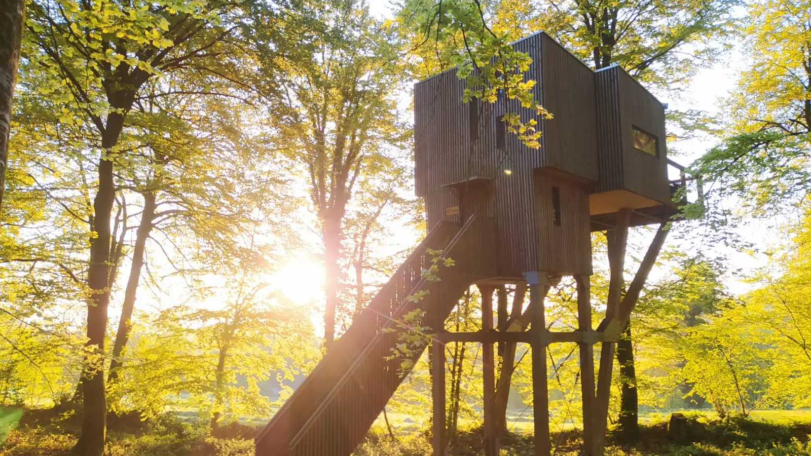 cabane dans les arbres lever soleil