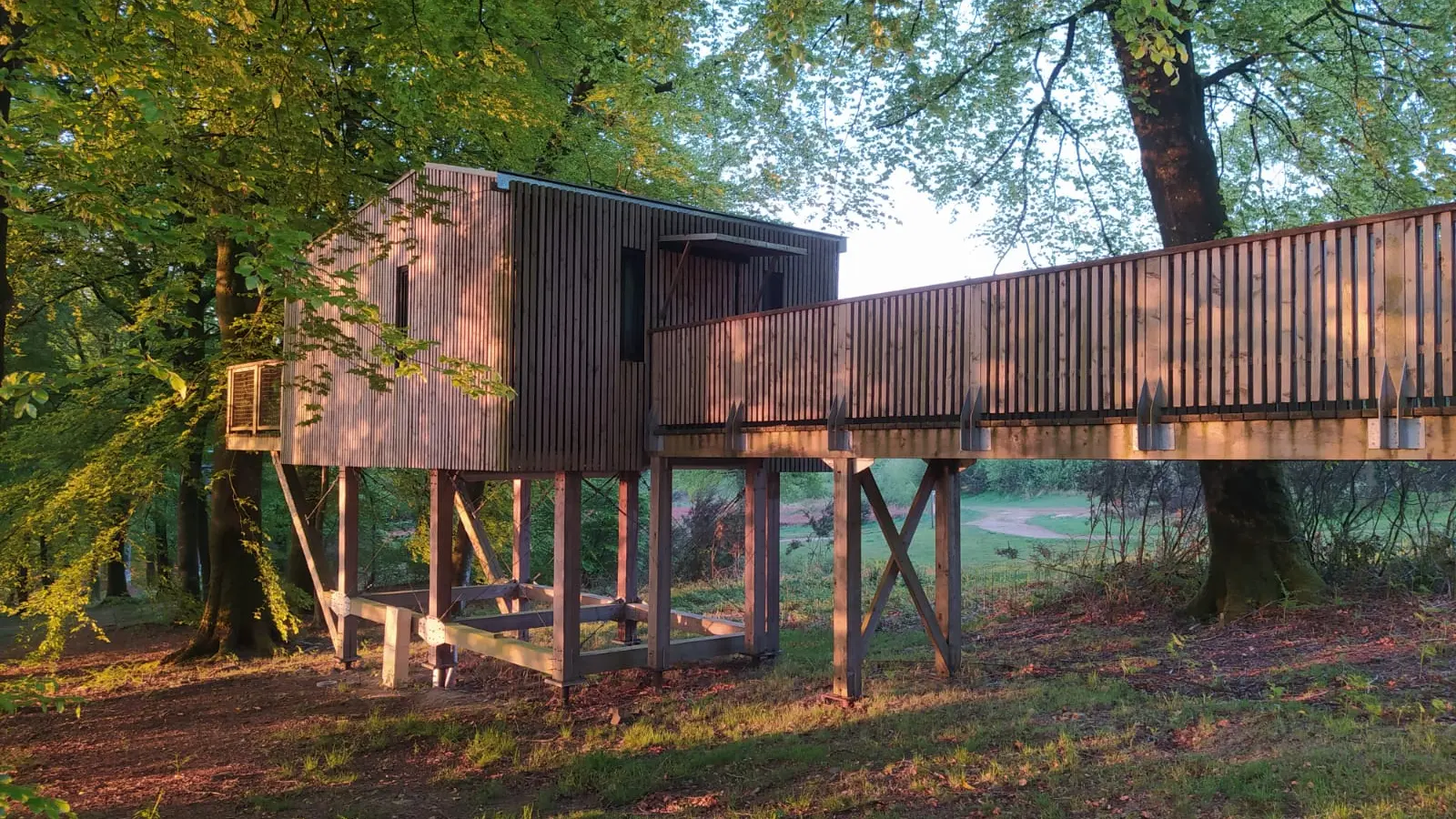 cabane dans les arbres pmr