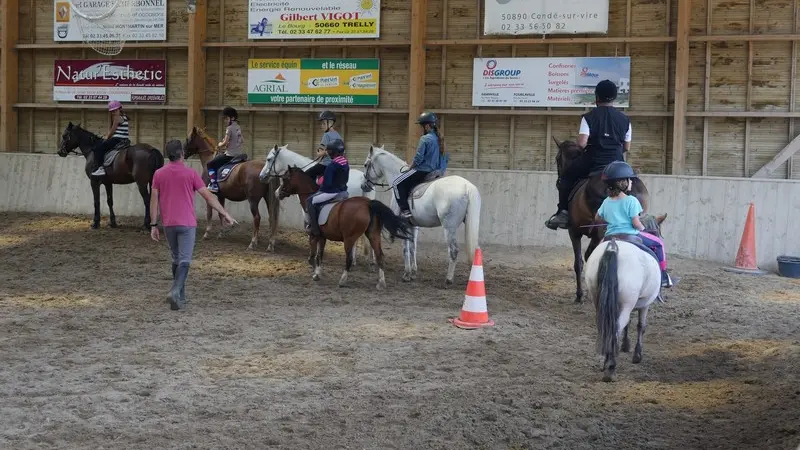 centre-equestre-hauteville-sur-mer-3