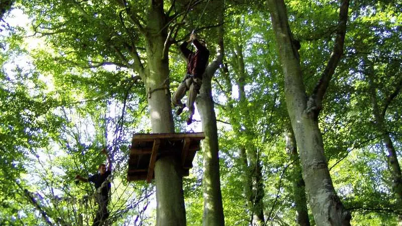 cerences-la-foret-des-elfes®-5