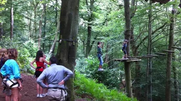 cerences-la-foret-des-elfes®-6