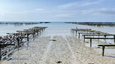 commerce ostreiculteur gouville sur mer huitres casrouge (2)