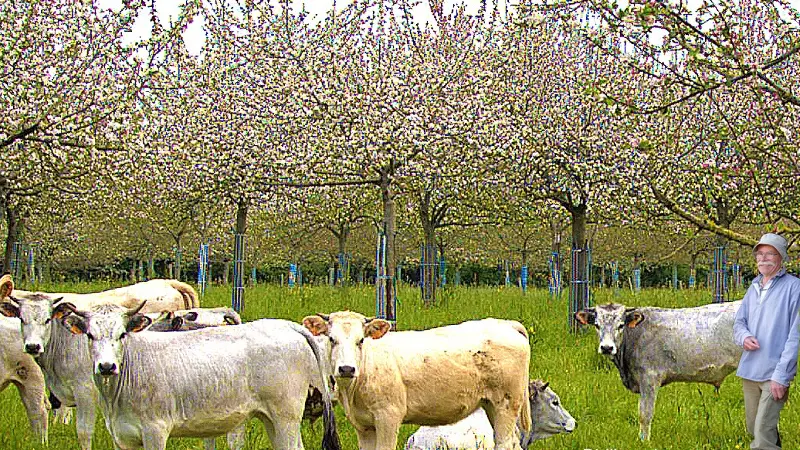 coudeville-sur-mer-domaine-m-le-girard-0