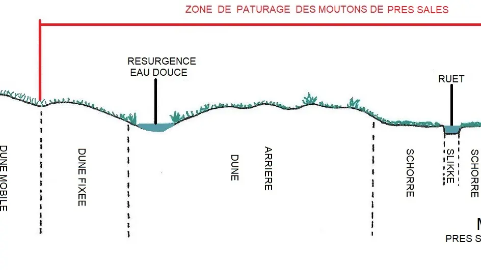 coupe topographique d'O en E du Havre de la Vanlée 04