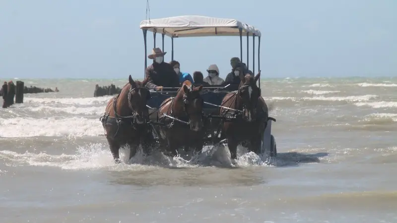 equipements de loisirs attelage des grandes marées (10)