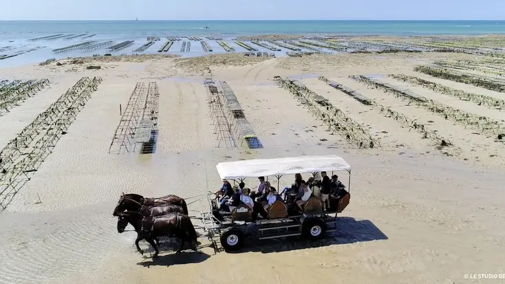 equipements de loisirs attelage des grandes marées (22)