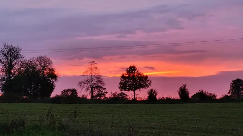 gite montaigu les bois benoist fabienne gite de la cabache (16)