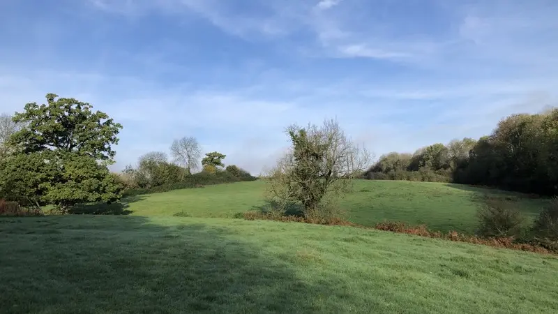 gite montaigu les bois benoist fabienne gite de la cabache (17)