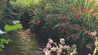 gite courcy Hecquard Esther le petit moulin riverside (2)