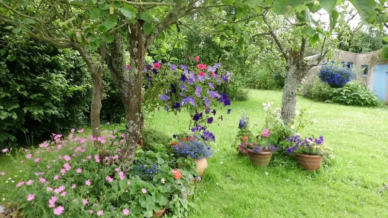 gite gouville sur mer verove jeanine (2)