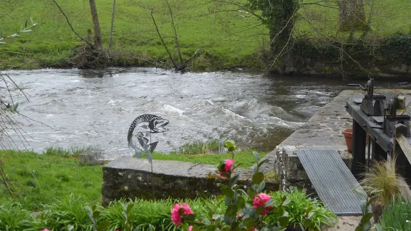 gite sourdeval les bois germain michel le moulin (1)