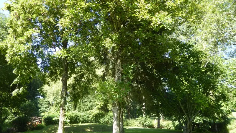 gite sourdeval les bois germain michel le moulin (11)