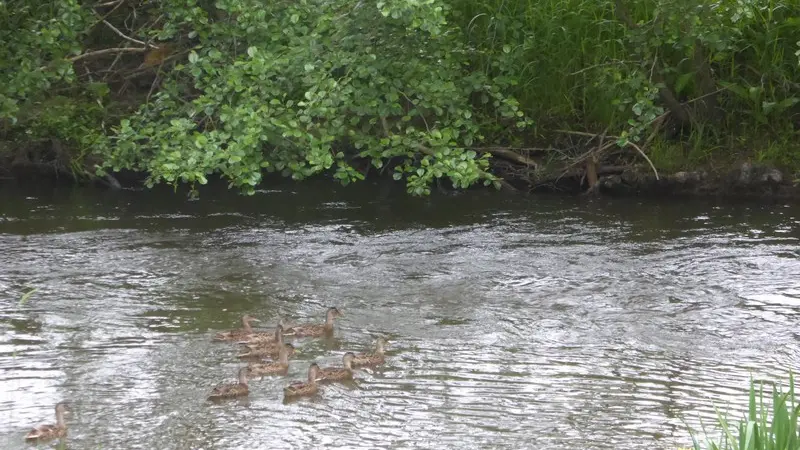 gite sourdeval les bois germain michel le moulin (12)