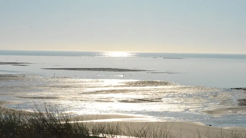 gouville-sur-mer-pole-kite-surf-normandie (8)