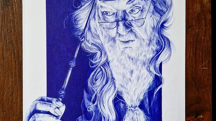 hudimesnil-lily-au-bic-4