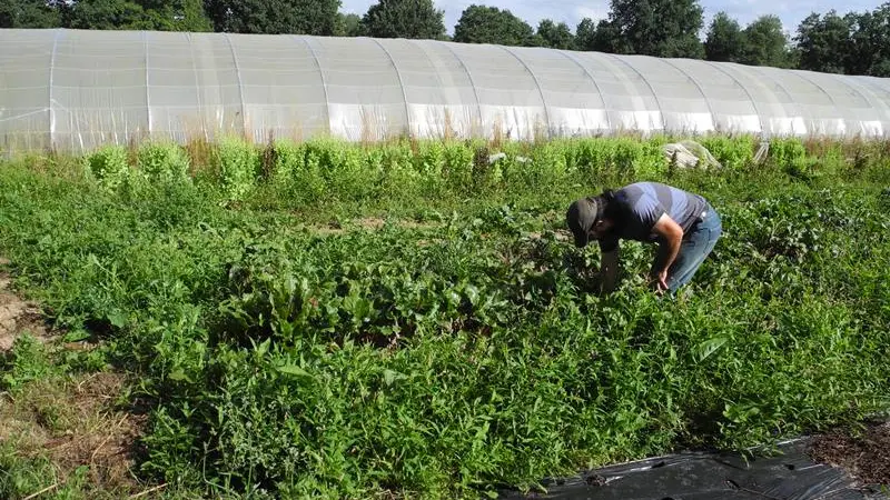 le-tanu-ferme-de-la-mercerie-4