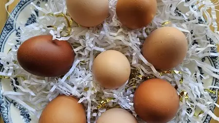 longueville-chambre-hote-la-meauffre-8