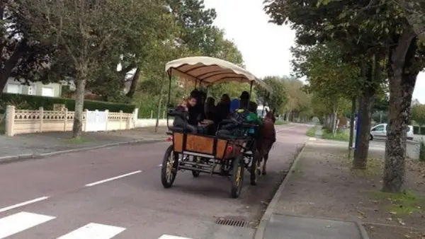 montmartin-sur-mer-ferme-equestre-esnol-binet (1)