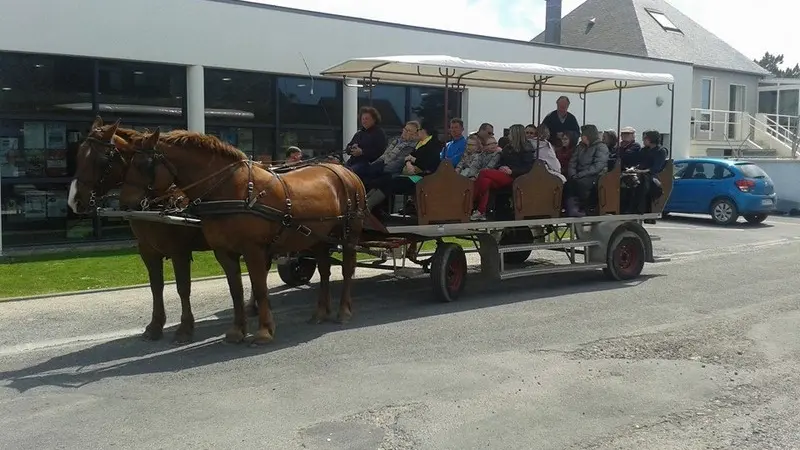 montmartin-sur-mer-ferme-equestre-esnol-binet (2)