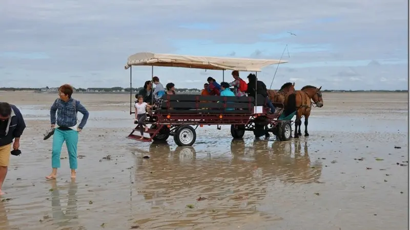 montmartin-sur-mer-ferme-equestre-esnol-binet (3)